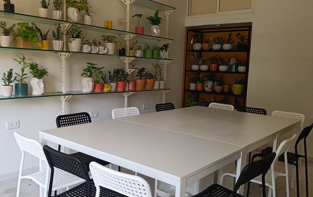 Crazy Plant Lady Coworking